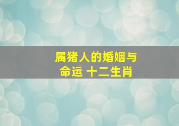 属猪人的婚姻与命运 十二生肖